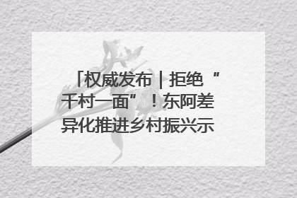 权威发布｜拒绝“千村一面”！东阿差异化推进乡村振兴示范片区建设