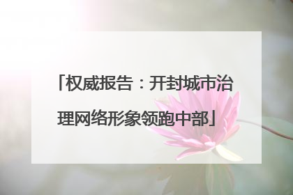 权威报告：开封城市治理网络形象领跑中部