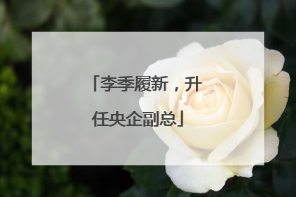 李季履新，升任央企副总
