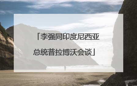 李强同印度尼西亚总统普拉博沃会谈