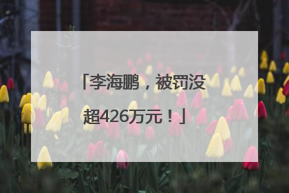 李海鹏，被罚没超426万元！