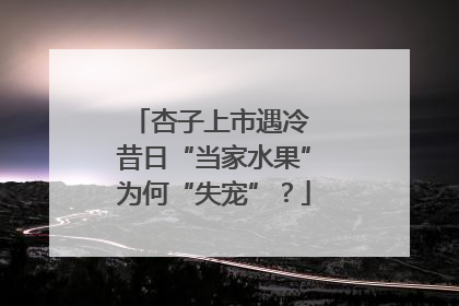 杏子上市遇冷 昔日“当家水果”为何“失宠”？