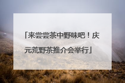 来尝尝茶中野味吧！庆元荒野茶推介会举行