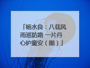 杨水良：八载风雨巡防路 一片丹心护童安（图）