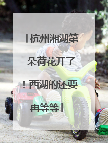 杭州湘湖第一朵荷花开了！西湖的还要再等等