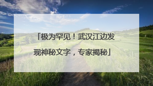 极为罕见！武汉江边发现神秘文字，专家揭秘