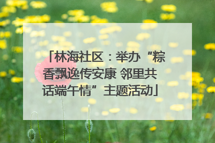 林海社区：举办“粽香飘逸传安康 邻里共话端午情”主题活动