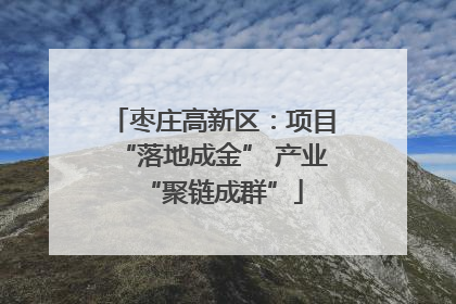 枣庄高新区：项目“落地成金” 产业“聚链成群”