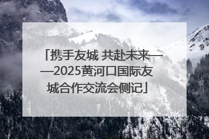 携手友城 共赴未来——2025黄河口国际友城合作交流会侧记