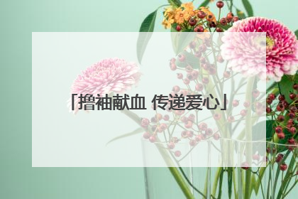 撸袖献血 传递爱心