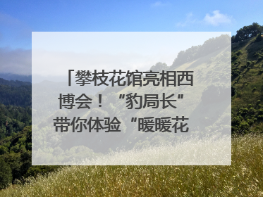 攀枝花馆亮相西博会！“豹局长”带你体验“暖暖花城”独特魅力｜西博视界