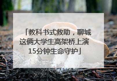 教科书式救助，聊城这俩大学生高架桥上演15分钟生命守护