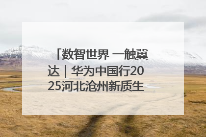 数智世界 一触冀达｜华为中国行2025河北沧州新质生产力峰会成功举办