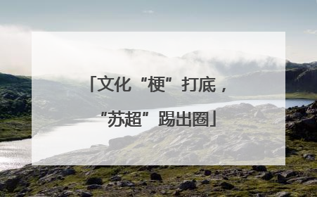 文化“梗”打底，“苏超”踢出圈