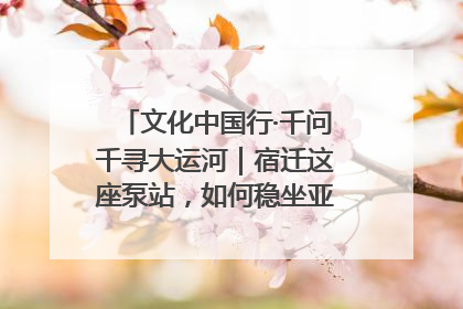 文化中国行·千问千寻大运河｜宿迁这座泵站，如何稳坐亚洲第一宝座？