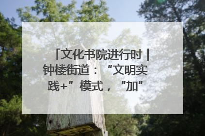 文化书院进行时｜钟楼街道：“文明实践+”模式，“加”出百姓幸福感