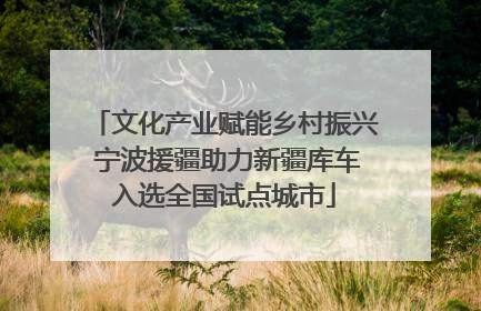 文化产业赋能乡村振兴 宁波援疆助力新疆库车入选全国试点城市