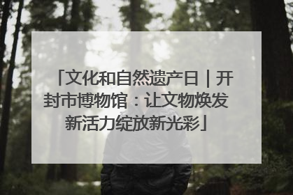 文化和自然遗产日｜开封市博物馆：让文物焕发新活力绽放新光彩