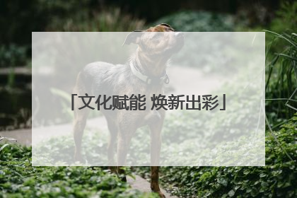 文化赋能 焕新出彩