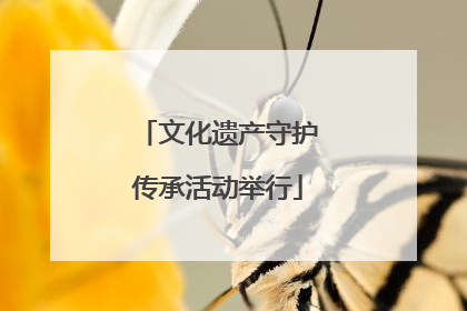 文化遗产守护传承活动举行