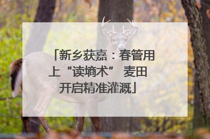新乡获嘉：春管用上“读墒术” 麦田开启精准灌溉