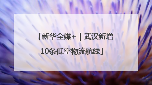 新华全媒+｜武汉新增10条低空物流航线