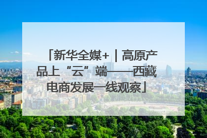新华全媒+｜高原产品上“云”端——西藏电商发展一线观察