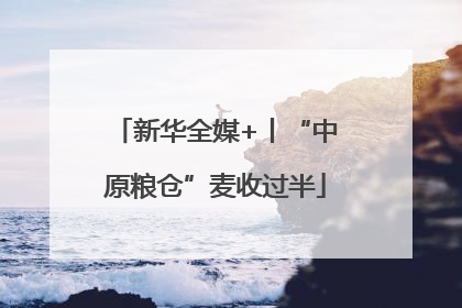 新华全媒+丨“中原粮仓”麦收过半