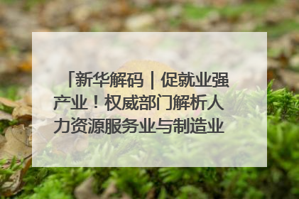 新华解码｜促就业强产业！权威部门解析人力资源服务业与制造业融合发展试点