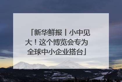 新华鲜报丨小中见大！这个博览会专为全球中小企业搭台