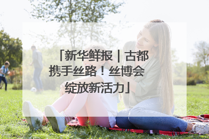 新华鲜报｜古都携手丝路！丝博会绽放新活力