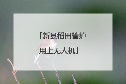 新县稻田管护用上无人机