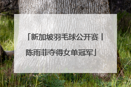 新加坡羽毛球公开赛丨陈雨菲夺得女单冠军