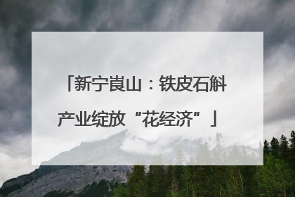 新宁崀山：铁皮石斛产业绽放“花经济”