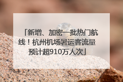 新增、加密一批热门航线！杭州机场暑运客流量预计超910万人次