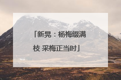 新晃：杨梅缀满枝 采梅正当时