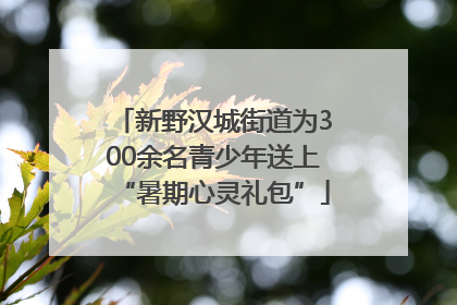 新野汉城街道为300余名青少年送上“暑期心灵礼包”