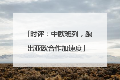 时评：中欧班列，跑出亚欧合作加速度