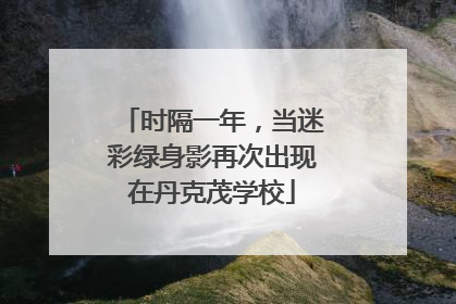 时隔一年，当迷彩绿身影再次出现在丹克茂学校