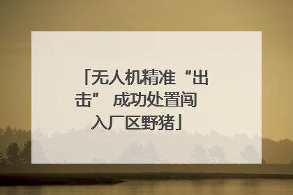无人机精准“出击” 成功处置闯入厂区野猪