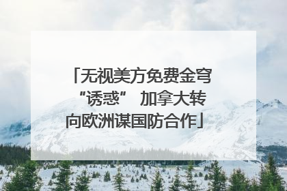 无视美方免费金穹“诱惑” 加拿大转向欧洲谋国防合作
