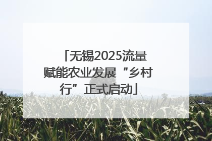 无锡2025流量赋能农业发展“乡村行”正式启动