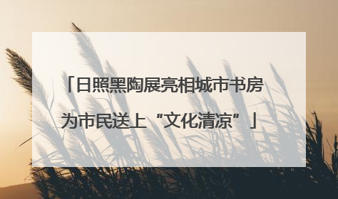 日照黑陶展亮相城市书房 为市民送上“文化清凉”