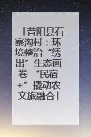 昔阳县石寨沟村：环境整治“绣出”生态画卷 “民宿+”撬动农文旅融合