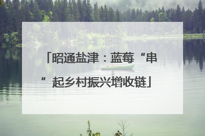 昭通盐津：蓝莓“串”起乡村振兴增收链