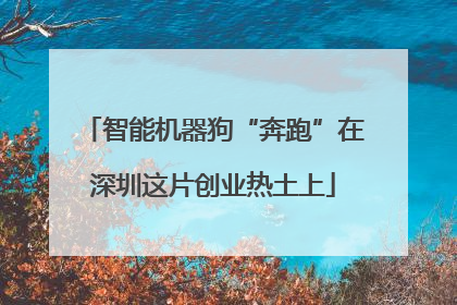 智能机器狗“奔跑”在深圳这片创业热土上