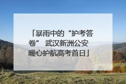 暴雨中的“护考答卷” 武汉新洲公安暖心护航高考首日