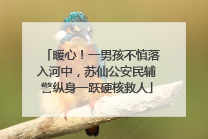暖心！一男孩不慎落入河中，苏仙公安民辅警纵身一跃硬核救人
