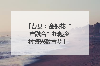 曹县：金银花“三产融合”托起乡村振兴致富梦