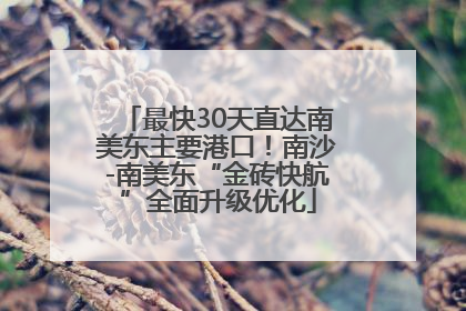 最快30天直达南美东主要港口！南沙-南美东“金砖快航”全面升级优化